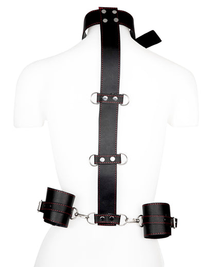 Neck to Wrist Restraints Set